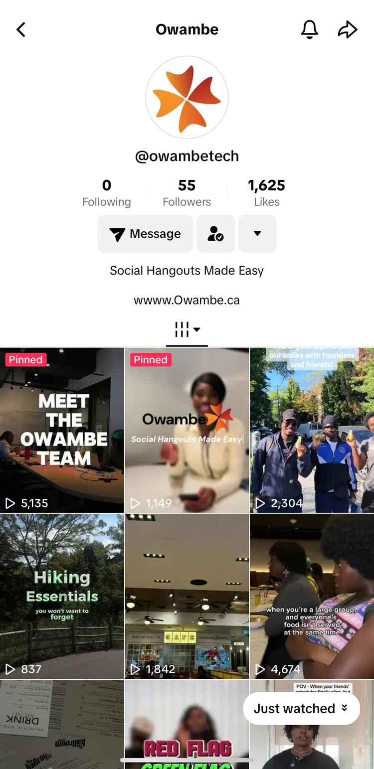 Owambe TikTok